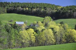 Springtime In Vermont.jpg