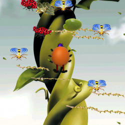 Image 1.png