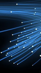 Fibers.jpg