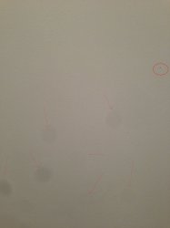 IMG_1166 copy.jpg