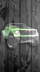 Wood Raptor 03.jpg