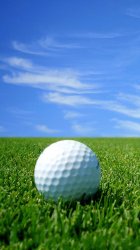 Golf 02.jpg