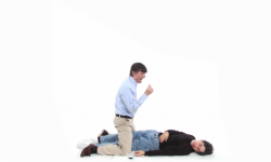 Capture.PNG