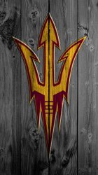Sun Devils 02.jpg