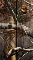 Realtree AP 01.jpg