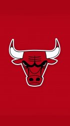 bulls-iphone-1.jpg