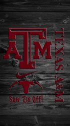TAMU 02.jpg