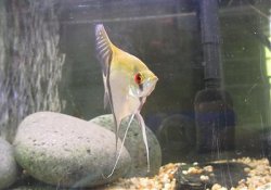 Screen Shot 2013-04-20 at 3.29.28 PM.jpg