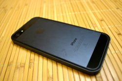 IMG_2856.jpg