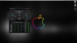 740448_4605761855545_1146499535_o.jpg