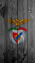 Wood Benfica.jpg