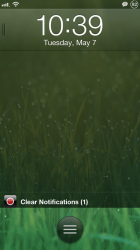 IMG_0317.PNG