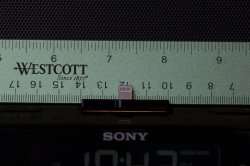 D29Q9743.jpg