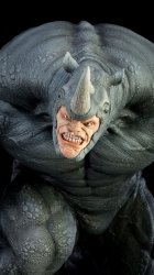 Rhino3.jpg