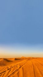 Desert.jpg