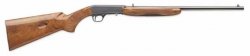 Browning Semi Auto 22.jpg