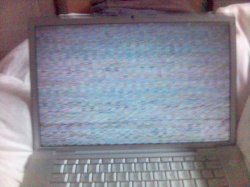 Picture(22).jpg Picture(22).jpg