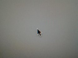 mac2.jpg