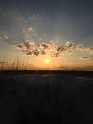 ImageUploadedByTapatalk 21369548667.089555.jpg