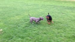 ImageUploadedByTapatalk 21369655419.319409.jpg