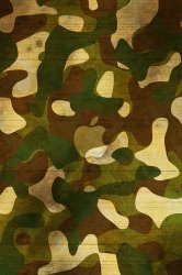 apple-camo.jpg