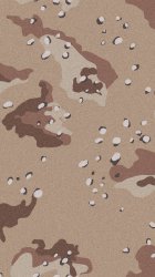 Desert Camo 01.jpg