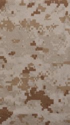 Desert Camo 03.jpg