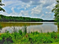 Lake Pine 6-9-2013b.JPG