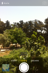 IMG_0019.PNG
