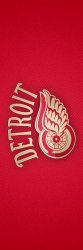 Detroit Red Wings.jpg