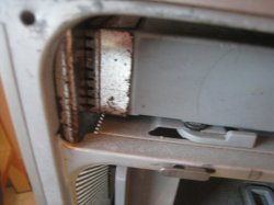 IMG_2800.JPG