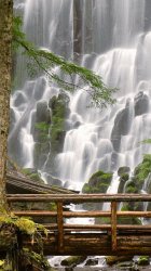 Oregon Ramona Falls.jpg