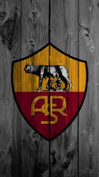 Wood Roma 01.jpg