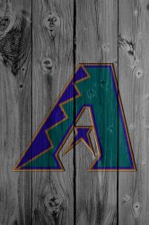 AZ Diamondbacks 04.jpg