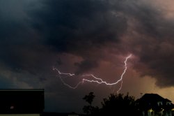 IMG_7996.JPG