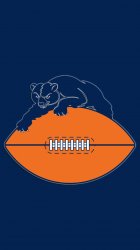 Bears 01.jpg
