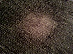 IMG_0824.jpg