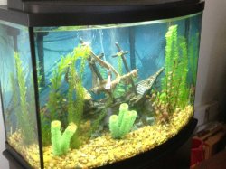 ImageUploadedByTapatalk 21373988056.167094.jpg