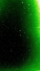 Green 04.jpg