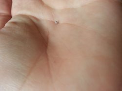 20130718_145201.jpg