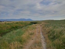 IMG_00000025_hdr.jpg