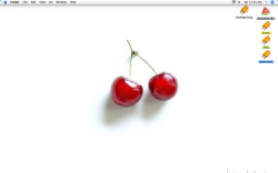 Picture 1.png