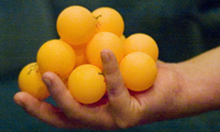 ping pong.png