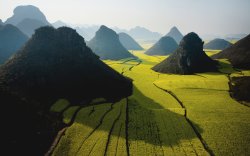 NatGeo 04.jpg