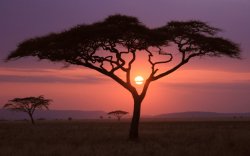 NatGeo 11.jpg