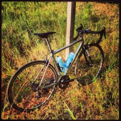 ImageUploadedByTapatalk 21375551993.998431.jpg