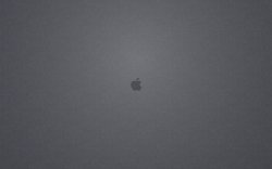 Grey Apple Linen Wallpaper.jpg