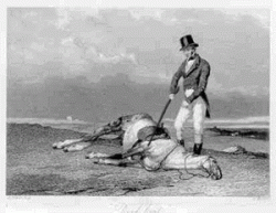 dead-horse.gif dead-horse.gif