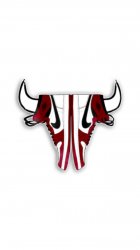 Bulls Nike 01.jpg
