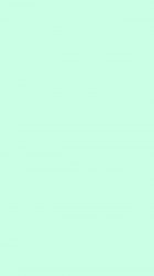 Mint.JPG